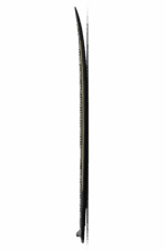 Liquid Force 2026 Primo Hybrid Wakesurfer3